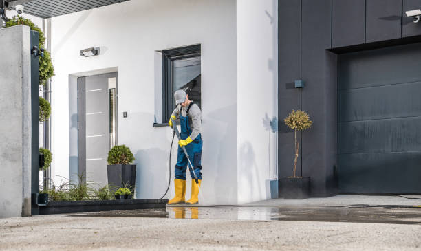 Best Fleet Vehicle Washing  in Galena Park, TX